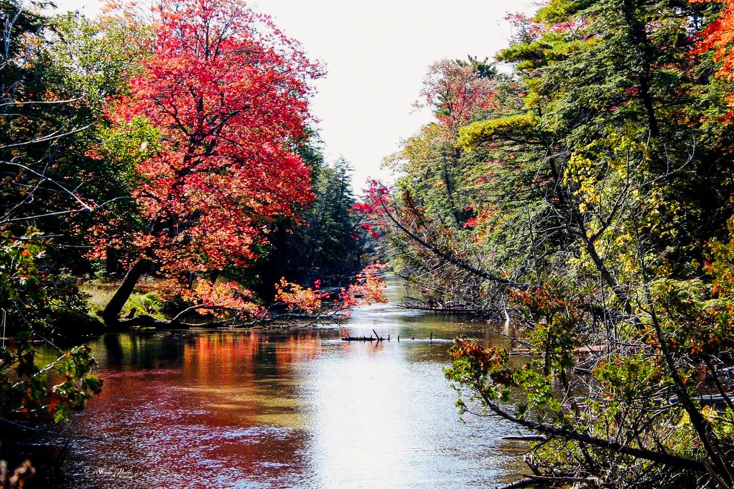 Autumn river scene with vibrant red and orange foliage reflecting on calm water surrounded by colorful fall trees.