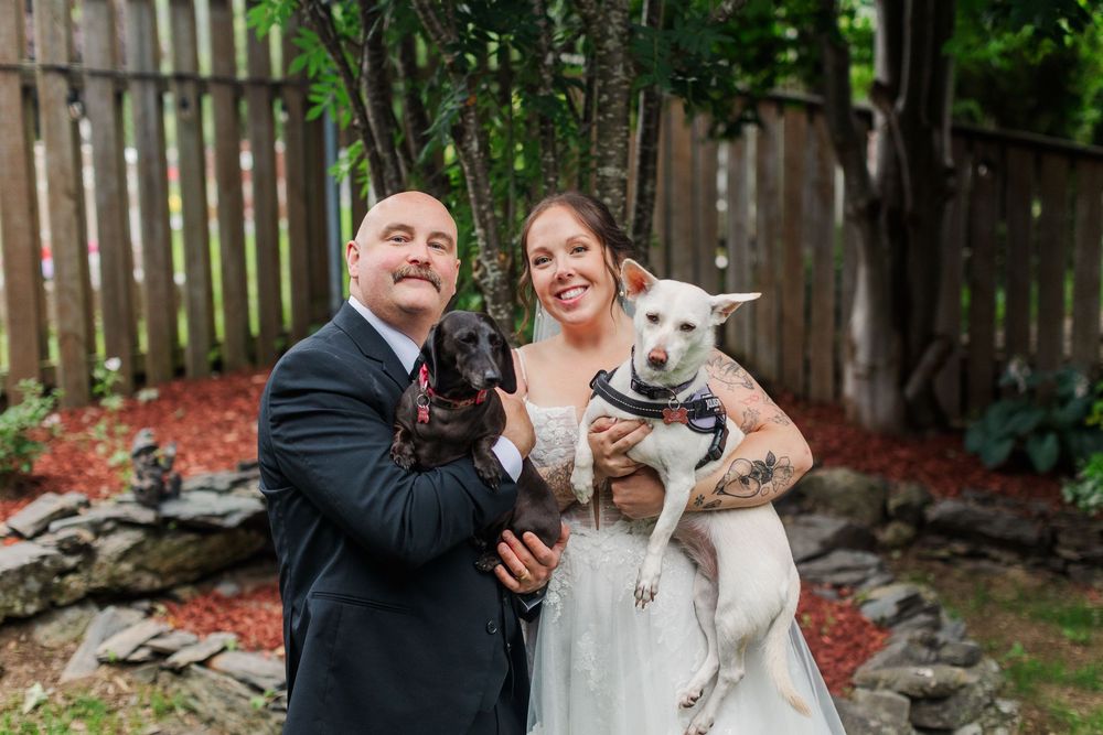Bride and groom smiling in backyard holding two dogs, black and white, wearing wedding attire near wooden fence.