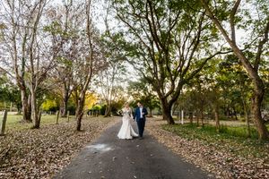 Bride and groom walking hand in hand along a tree-lined path covered in autumn leaves at golden hour.