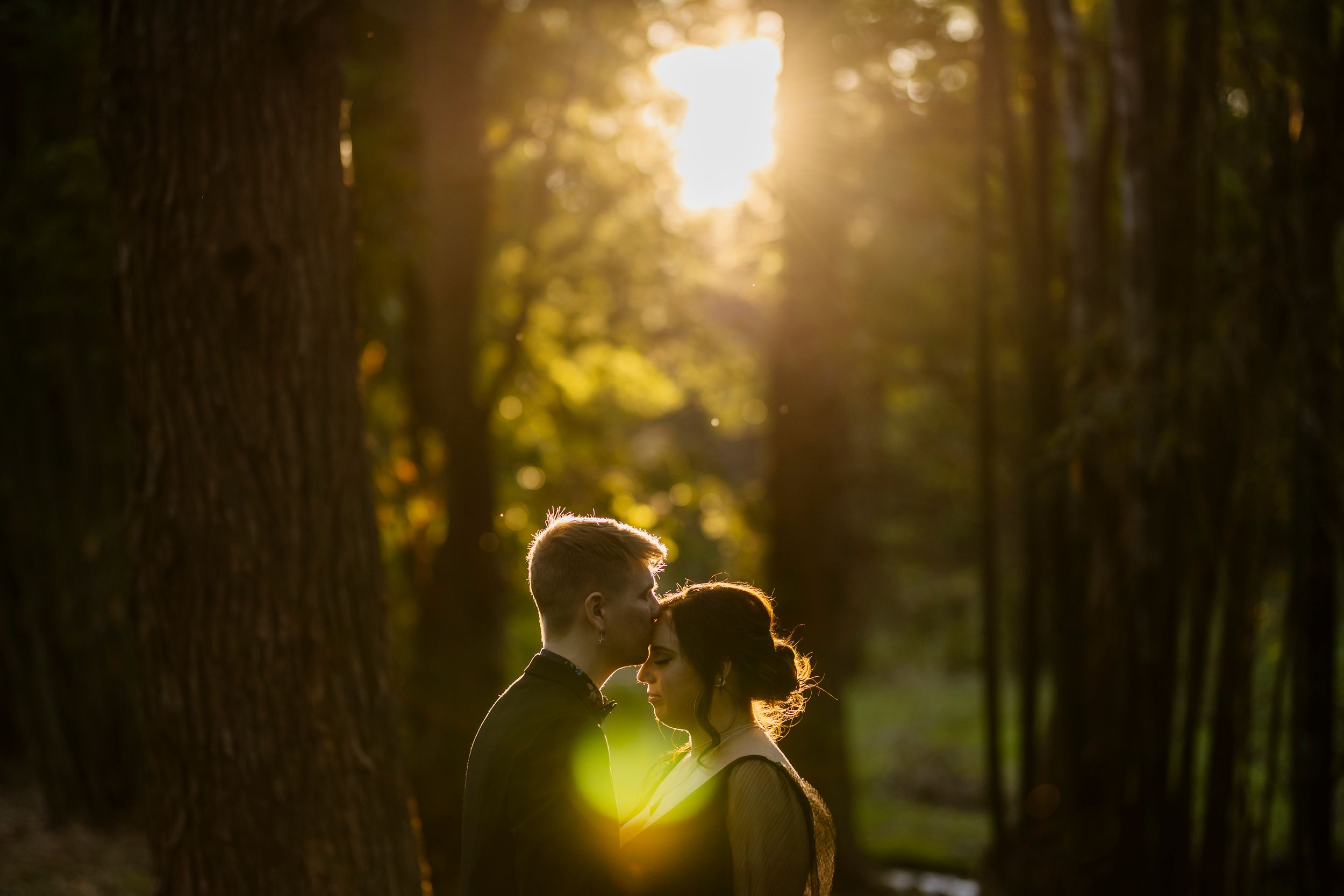 Romantic couple embracing in a sun-drenched forest with glowing bokeh light at Bundaleer Rainforest Gardens Brisbane