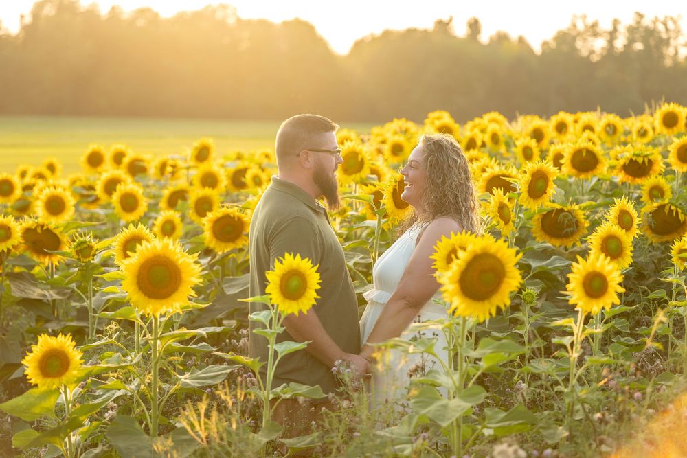 Couple holding hands facing each other in a golden sunflower field at sunset, romantic outdoor photography.