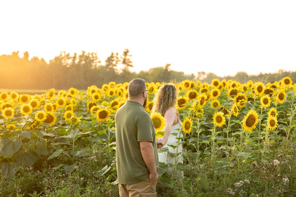 Couple walking hand in hand through a golden sunflower field at sunset.