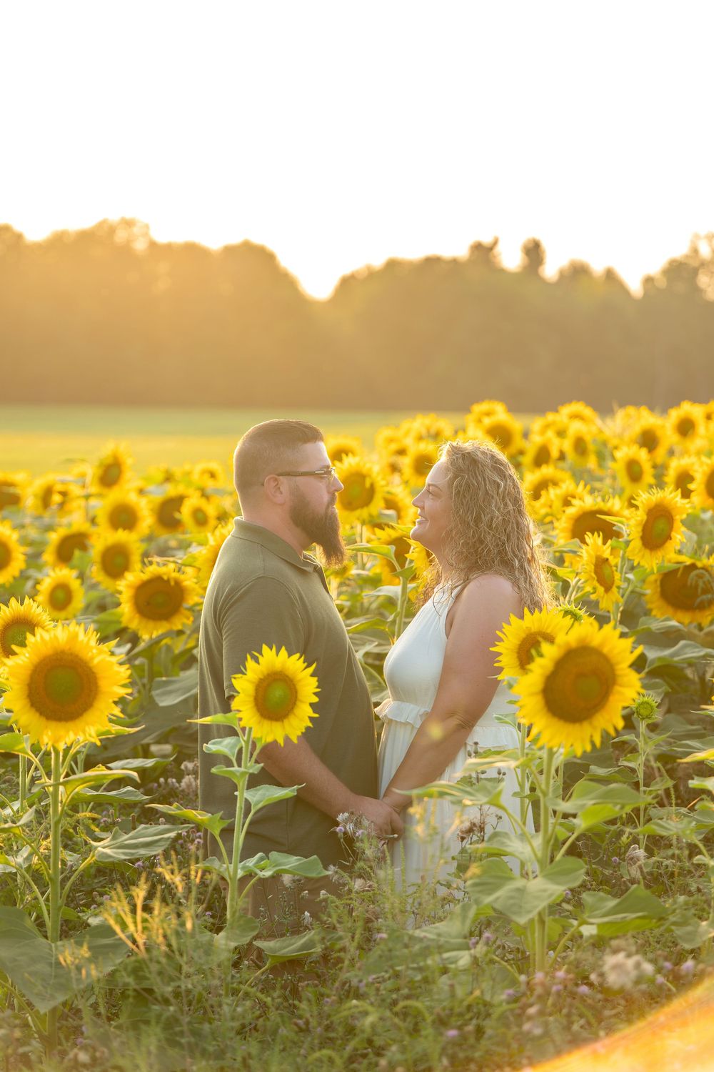 Couple holding hands in a golden sunflower field at sunset.