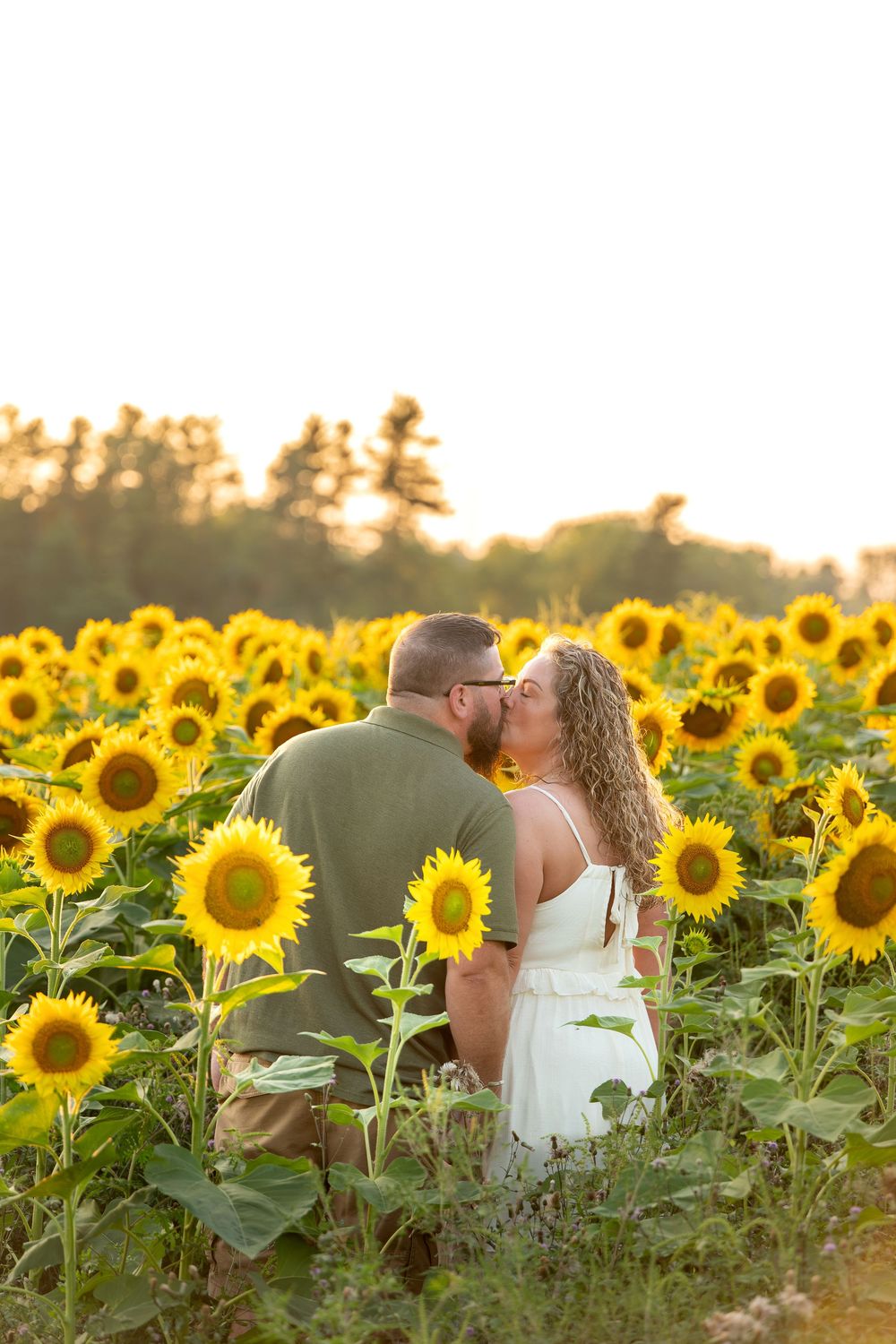 Couple kissing in a sunflower field at golden hour, woman in white dress and man in olive shirt.