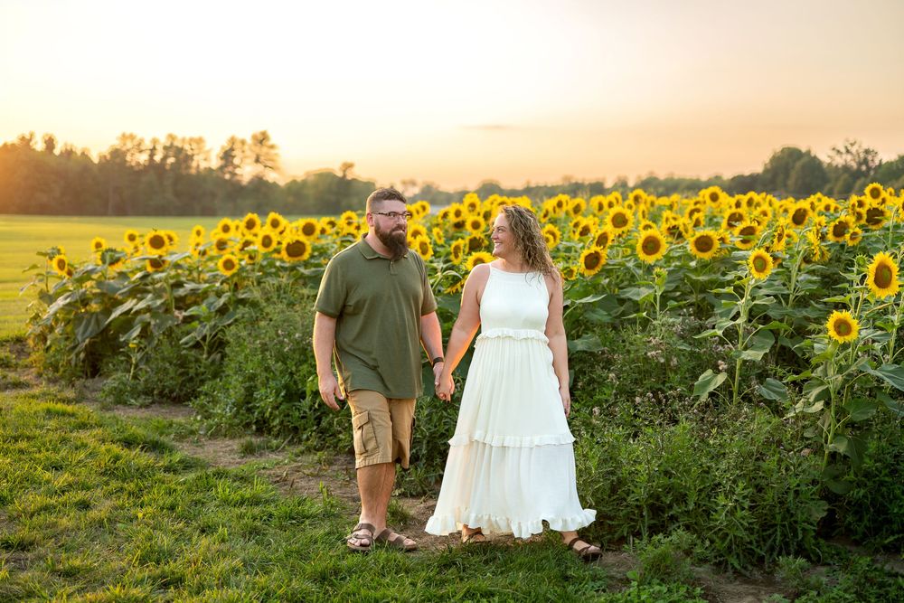 Couple holding hands walking along sunflower field path at golden sunset.