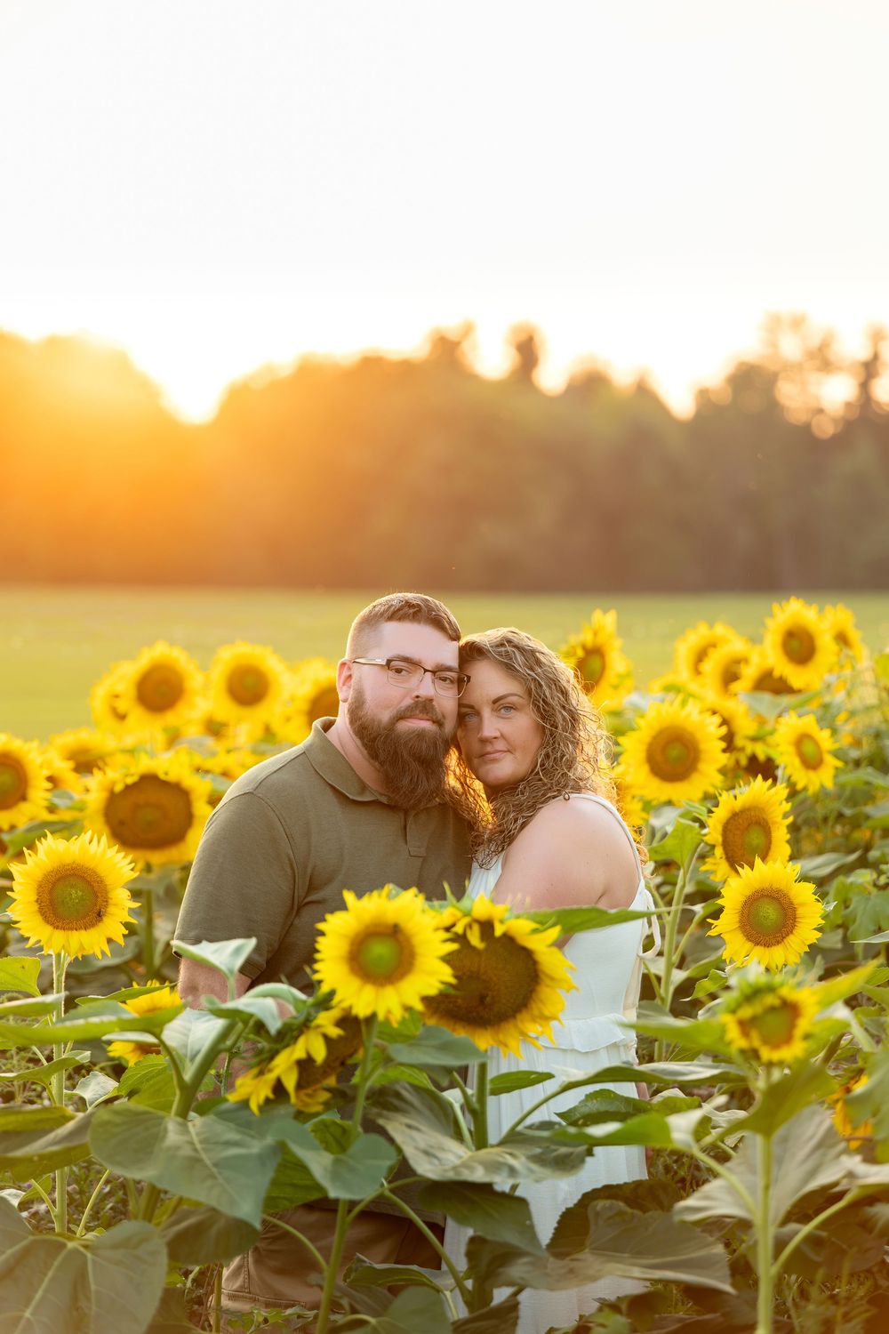 Couple embracing in a sunflower field at golden hour sunset with warm glowing light and trees in background.