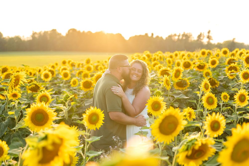 Couple embracing and kissing in a vibrant sunflower field bathed in golden sunset light.