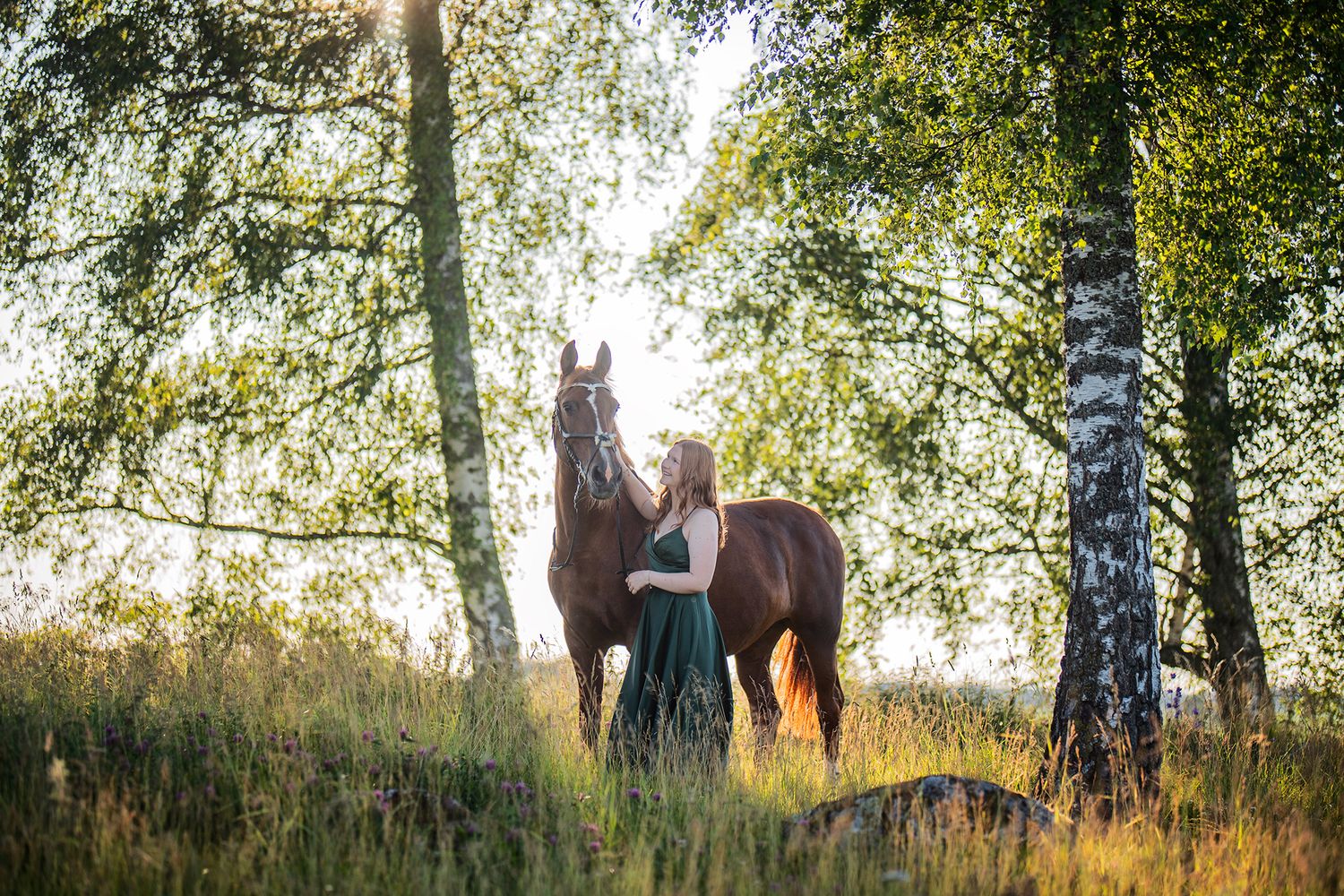 horses, dresses
