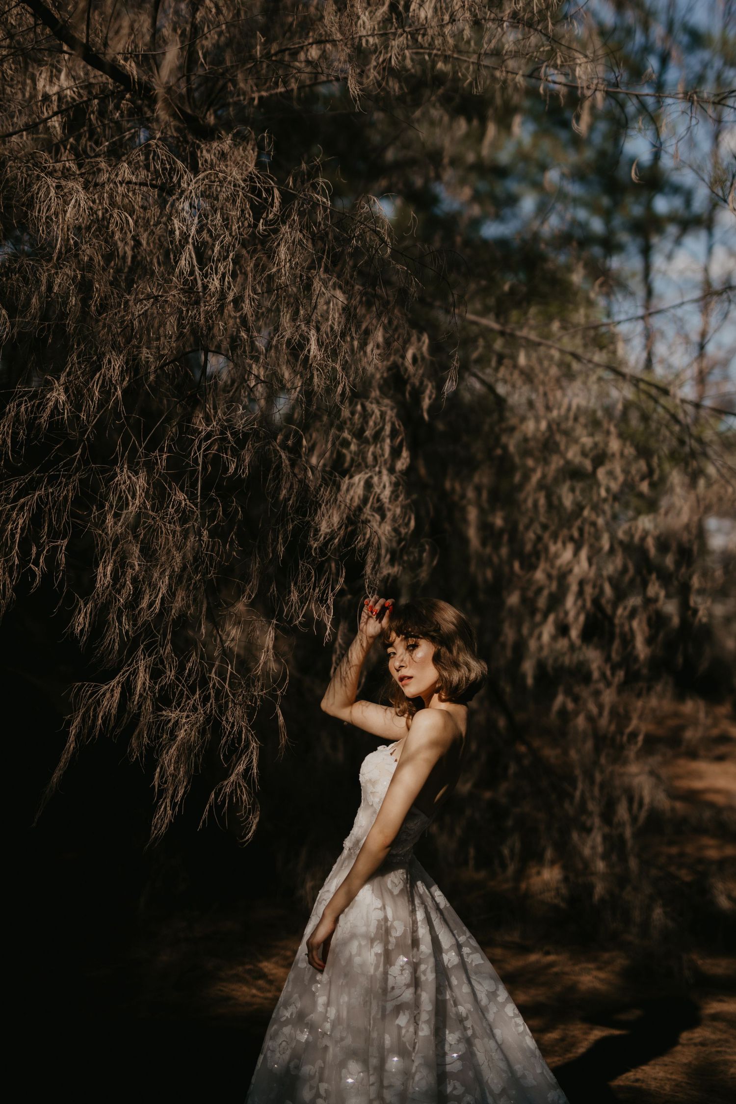 Ethereal wedding portrait in a moody forest setting with filtered sunlight.