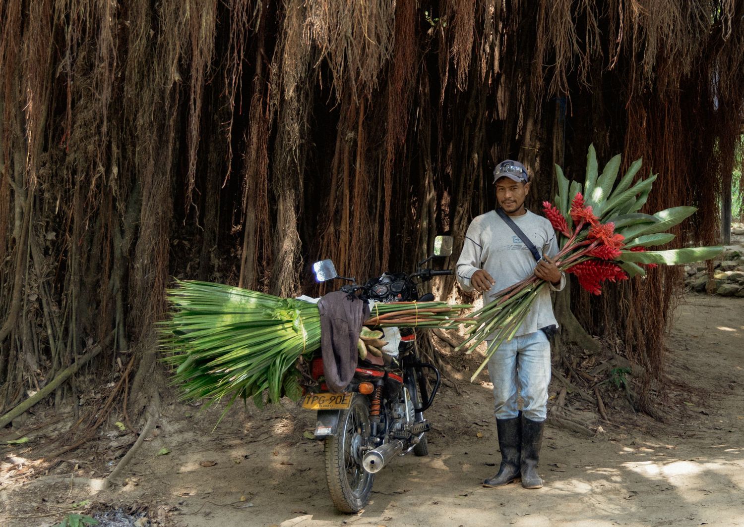 Man gathers Ginger Shampoo plant and ties it to his bike. La Aguacatera, Colombia. 2024.