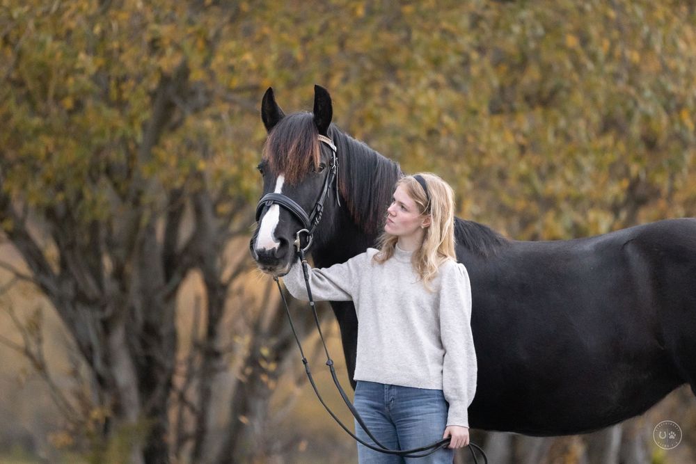 Ella og Romhus Gulle