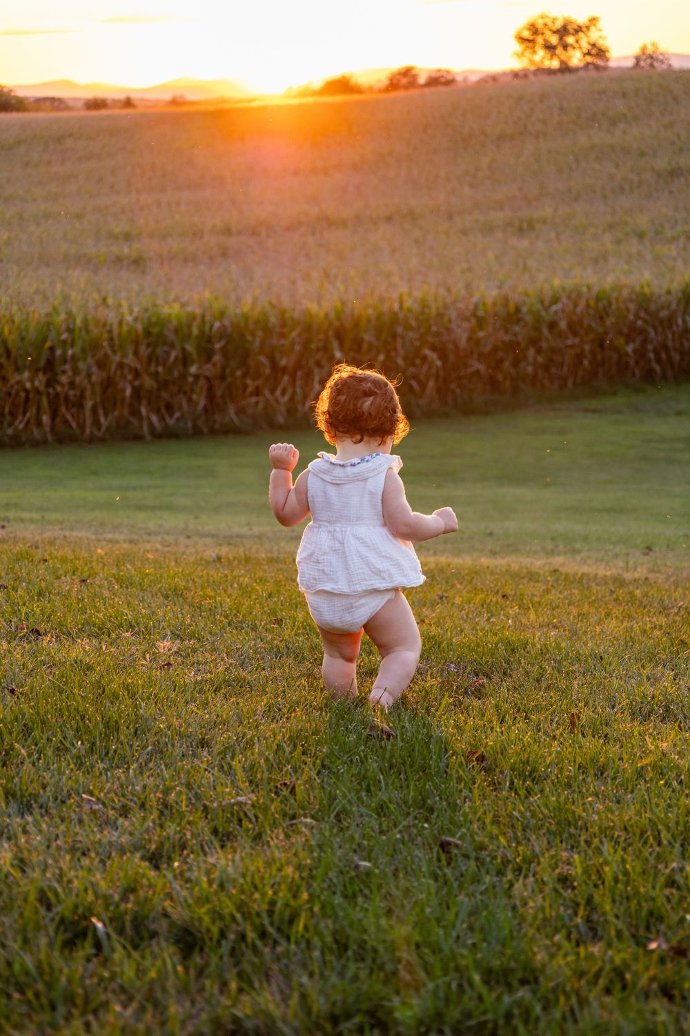 A toddler in white romper runs barefoot toward a cornfield at sunset.