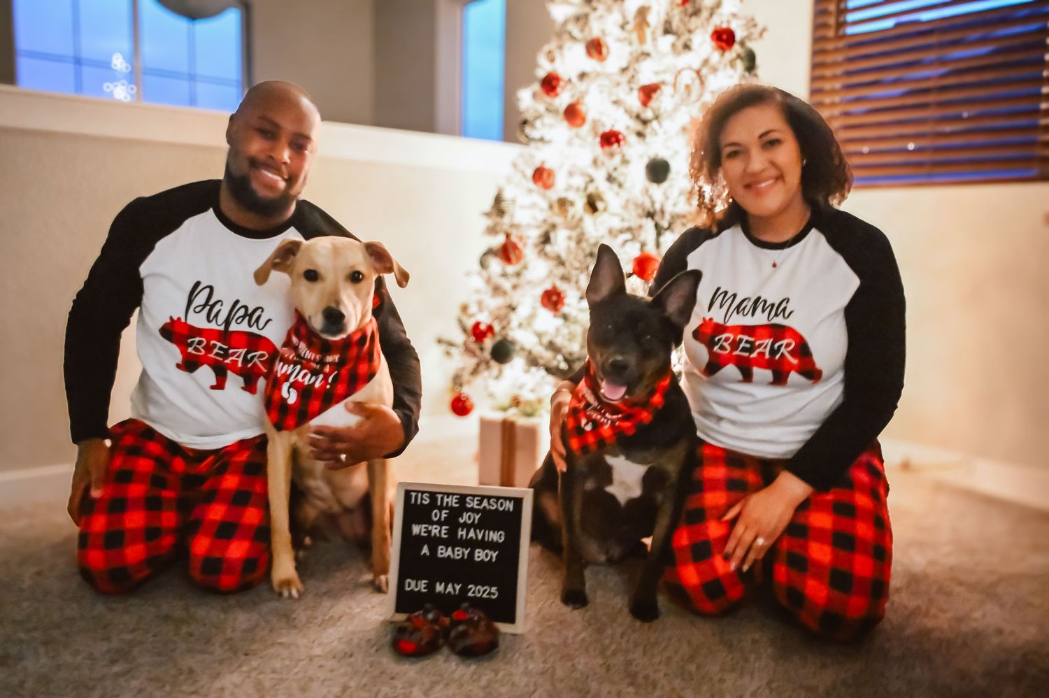 A sequence of holiday photos showing a family pet in red plaid pajamas next to Christmas decorations and festive lights.