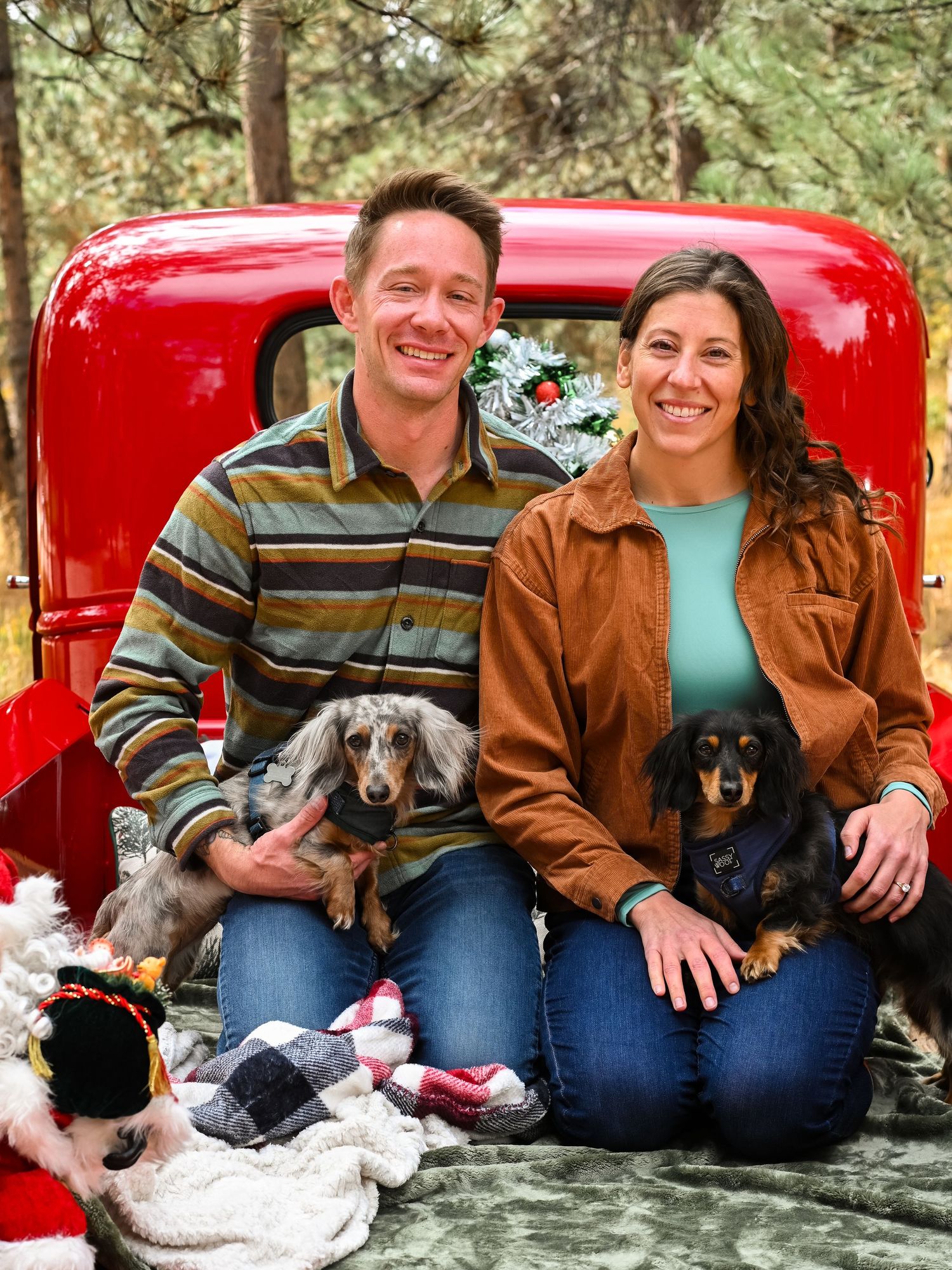 A festive holiday photo featuring two dachshunds and their owners in a classic red pickup truck.