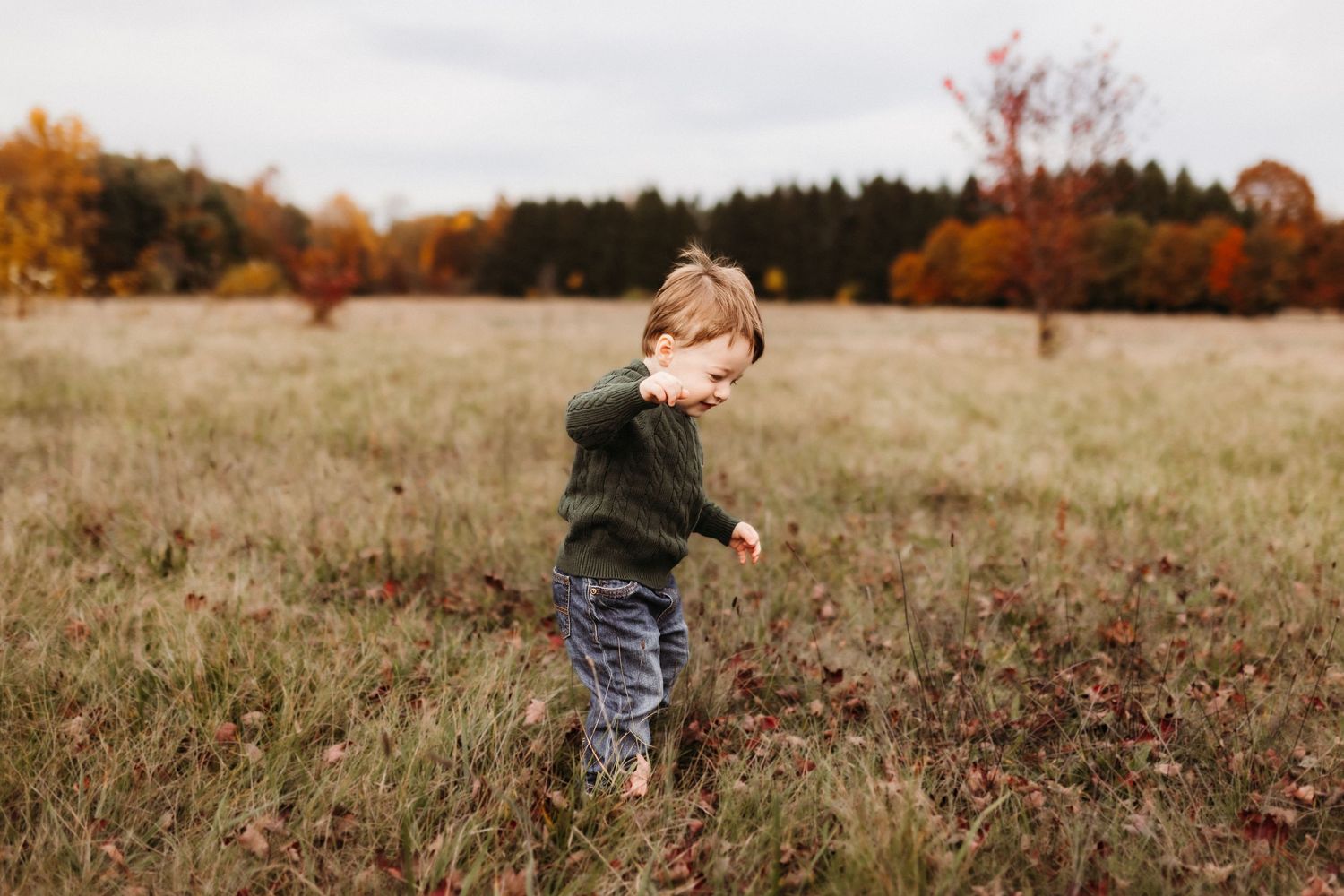 Fort Wayne Family Photographer