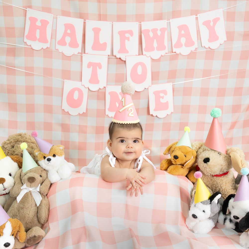 Pink and white gingham backdrop with stuffed animals and 'Halfway to One' banner for milestone photo session.