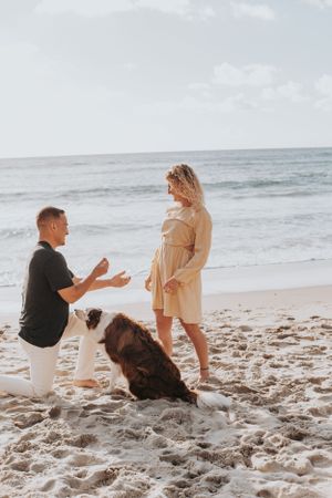 A romantic beach proposal moment with a furry dog companion watching nearby.