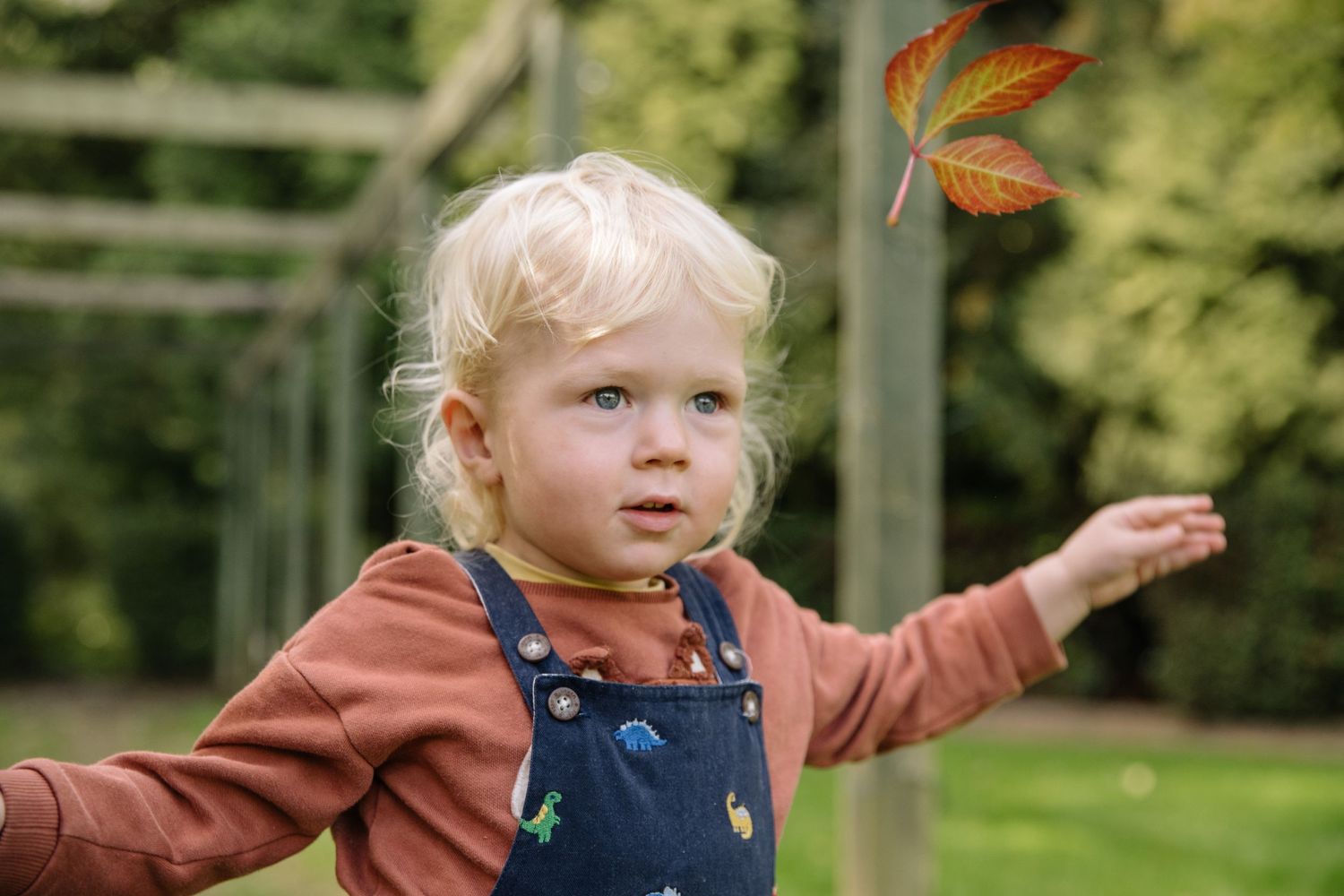 A fall outdoor scene with an orange leaf floating while wearing denim overalls.