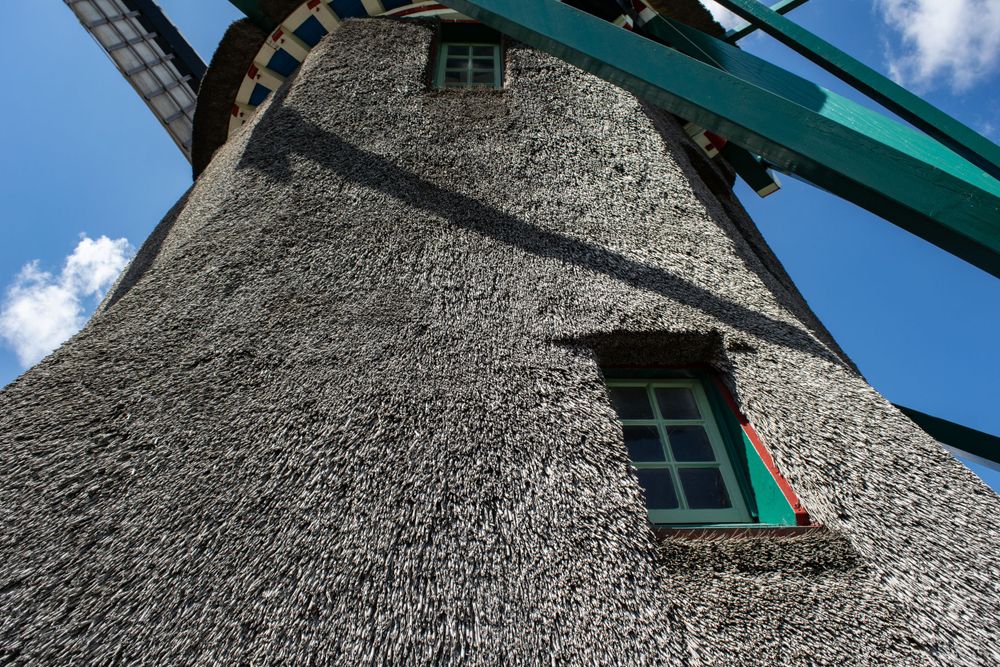 Close-up view of windmill's textured exterior wall with green-trimmed window.