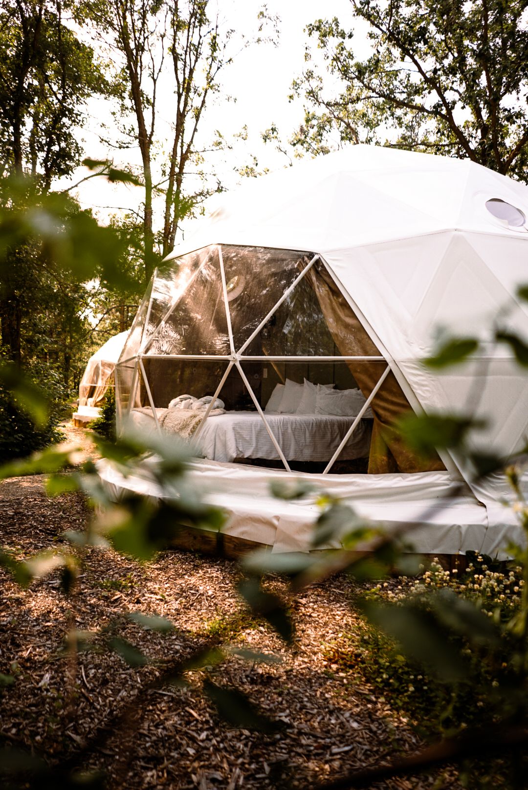 White geodesic dome tents nestled among trees in a wooded camping area.