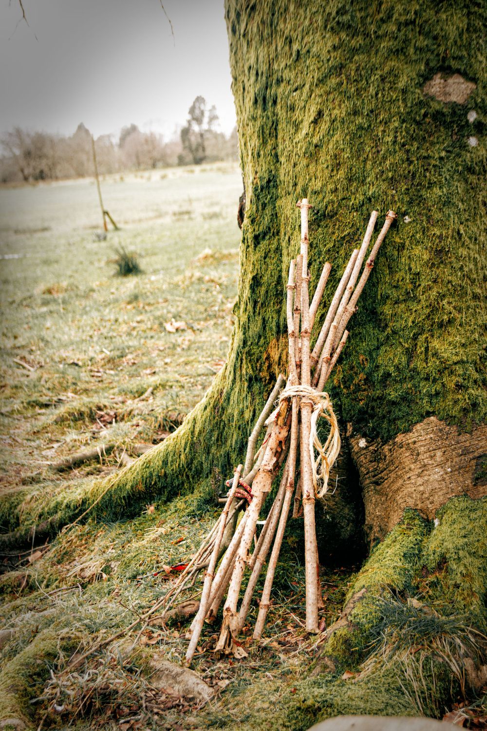 A bundle of wooden sticks leans against a mossy tree trunk in a misty field.