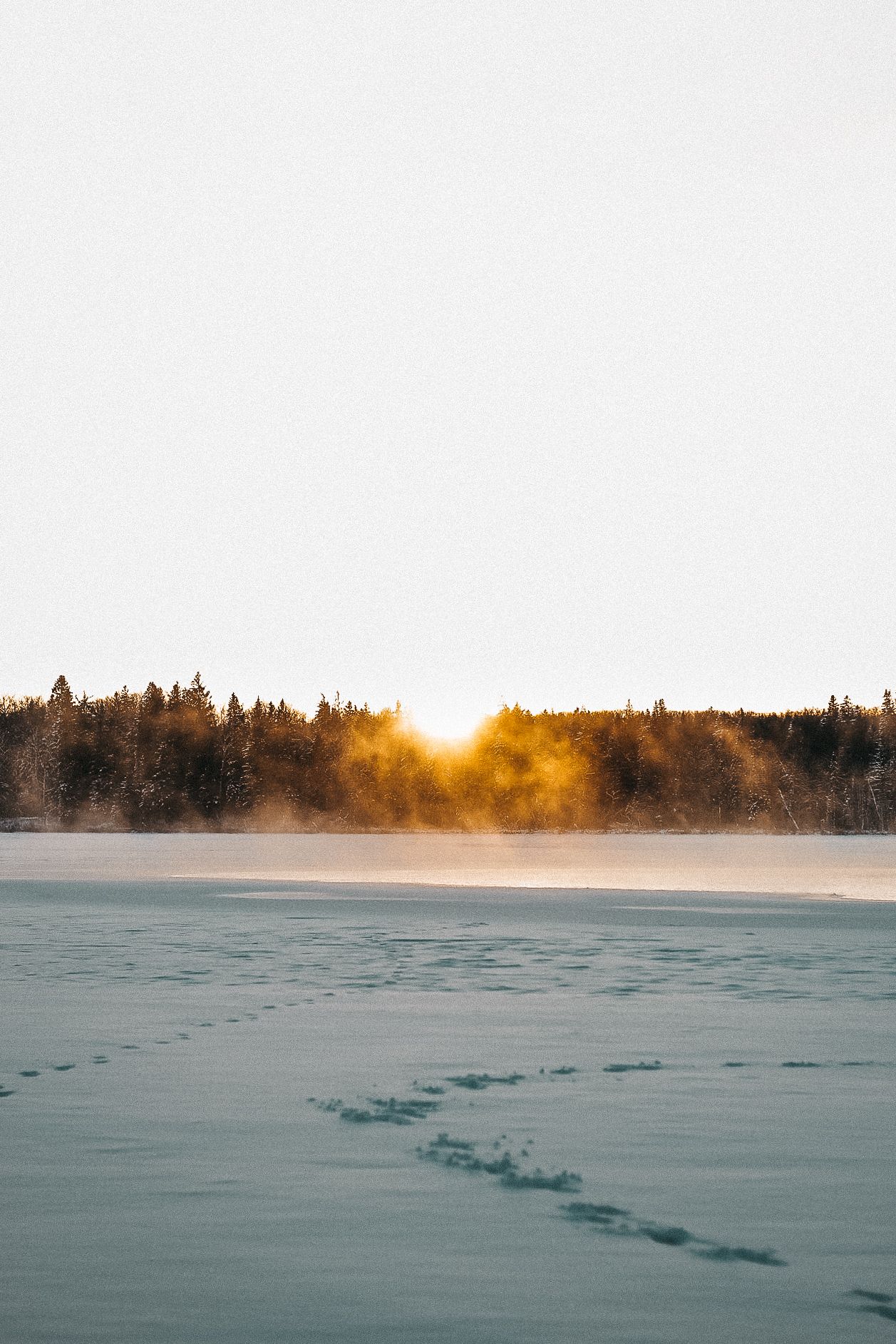 Winter sunrise over a frozen lake with fog rising from the forest treeline.