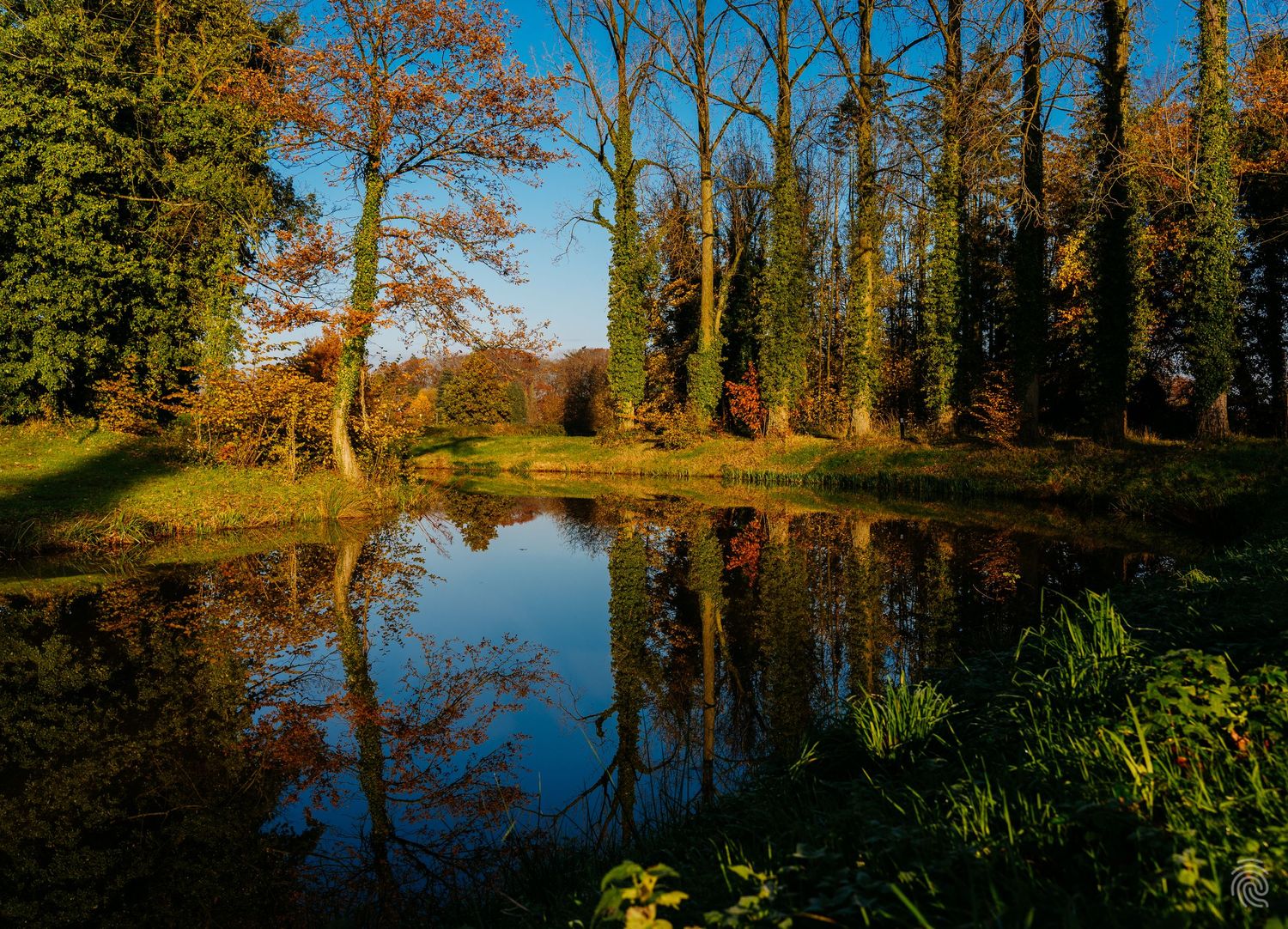 A serene photo of a small pond surrounded by rich, green trees with touches of autumn color. Kasteel Bleijenbeek