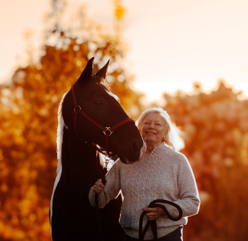 Person in white sweater shares tender moment with horse during golden sunset.