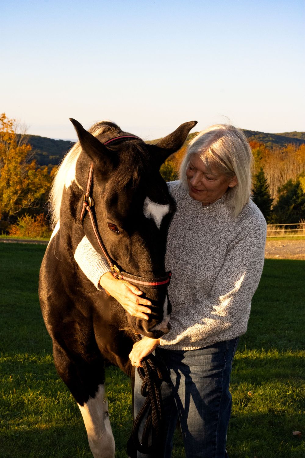 Person in gray sweater pets dark horse in sunlit field.