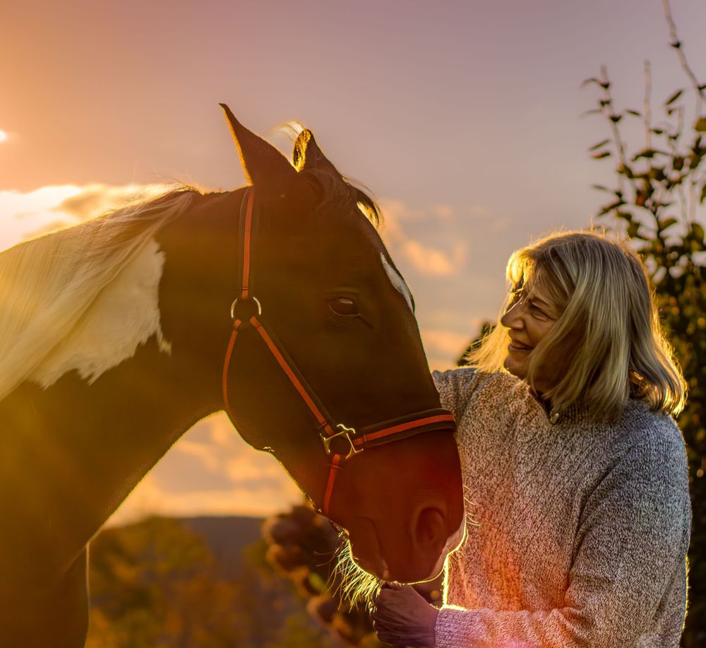 Horse and handler share intimate moment during golden sunset.