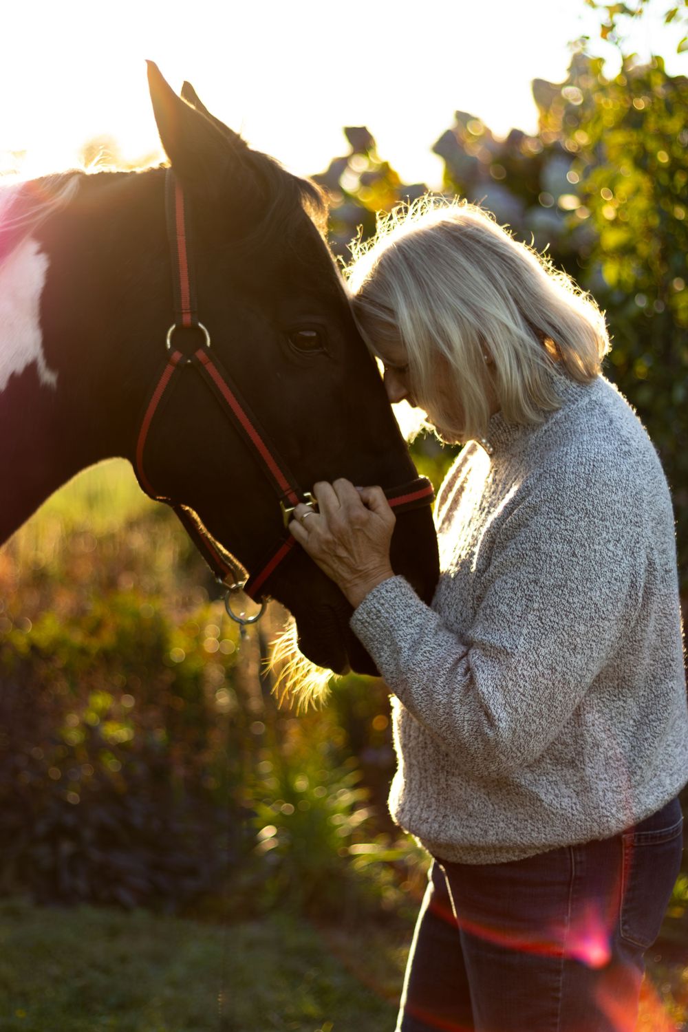 Horse and rider silhouetted against golden sunset light in a peaceful outdoor setting.