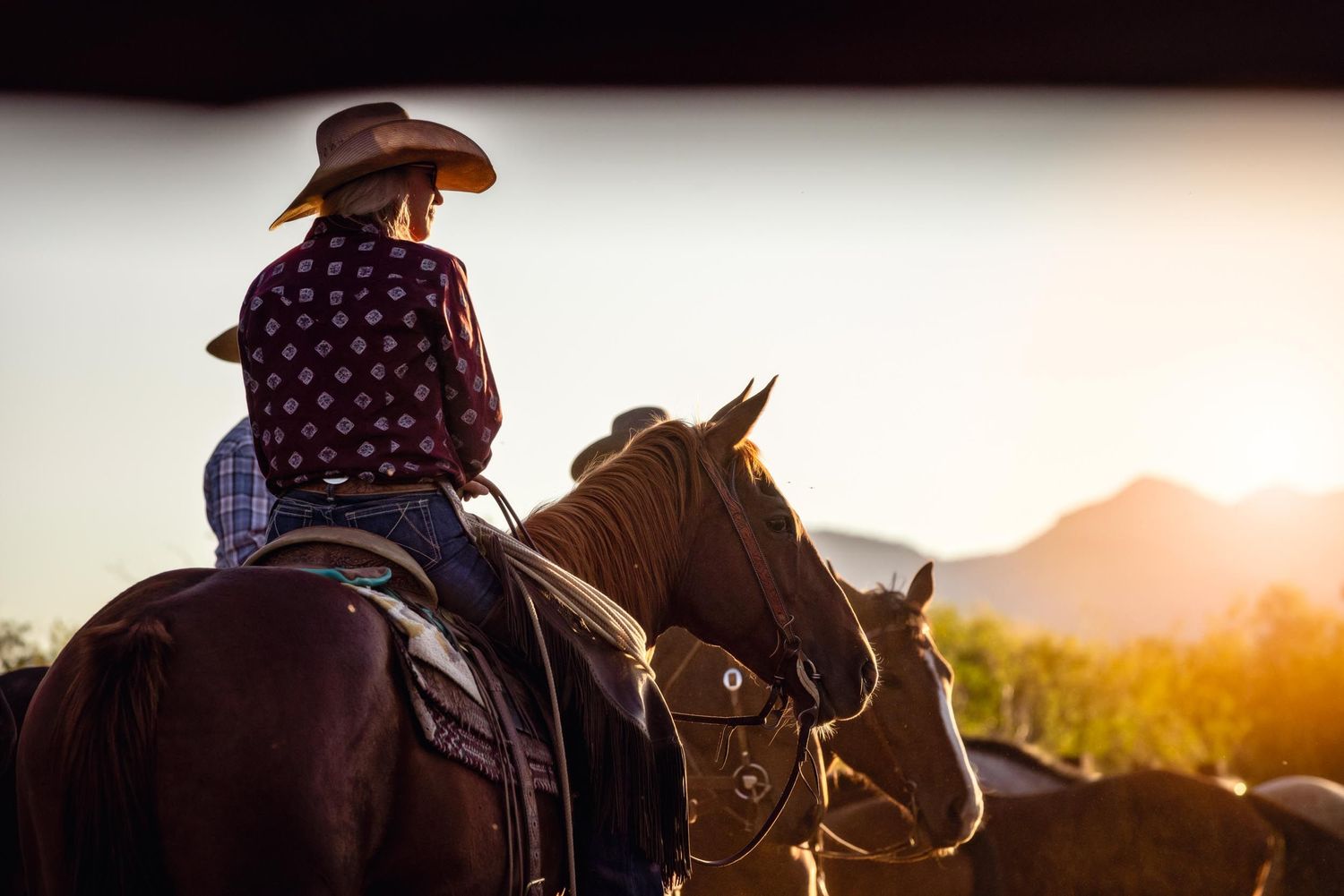 Silhouette of western rider on horseback during golden sunset.