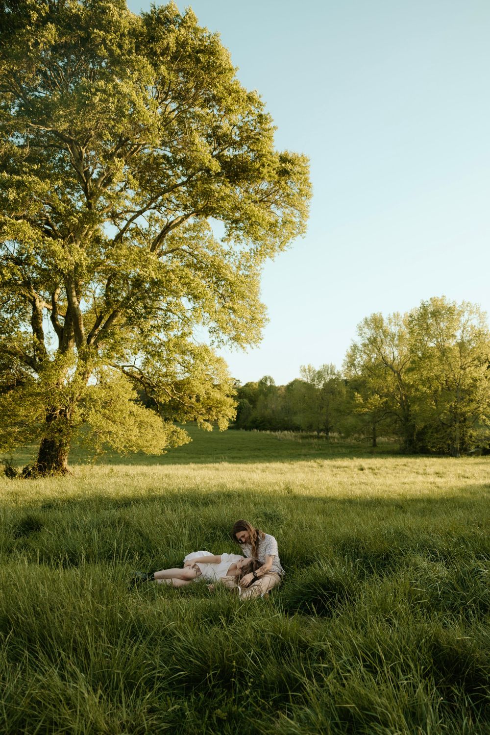 Couple relaxing in a serene meadow during golden hour beneath a majestic tree.