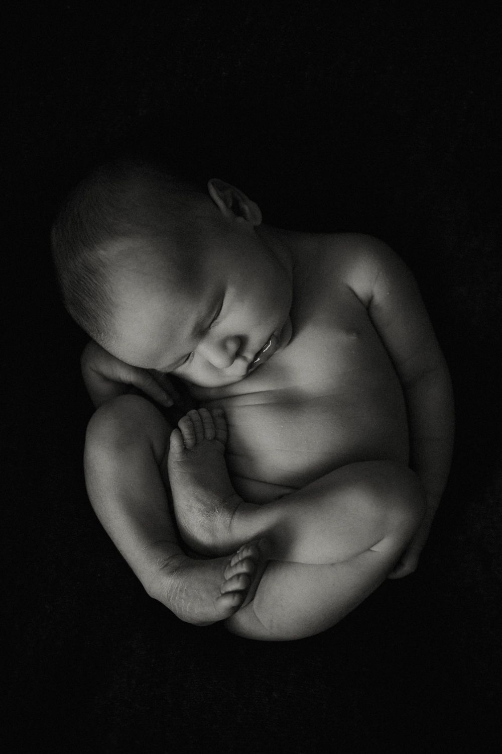 Artistic black and white portrait of sleeping newborn in fetal position.