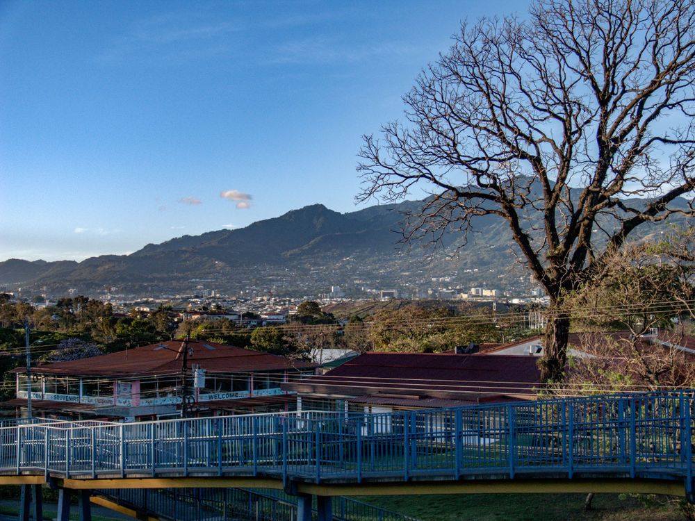 Urban cityscape view with mountains and bare tree in foreground.