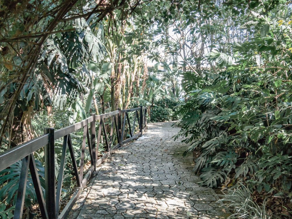 Scenic garden pathway with green metal railings surrounded by lush vegetation.