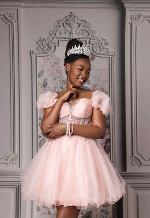 Elegant portrait against ornate wall featuring pink tulle dress and crown.