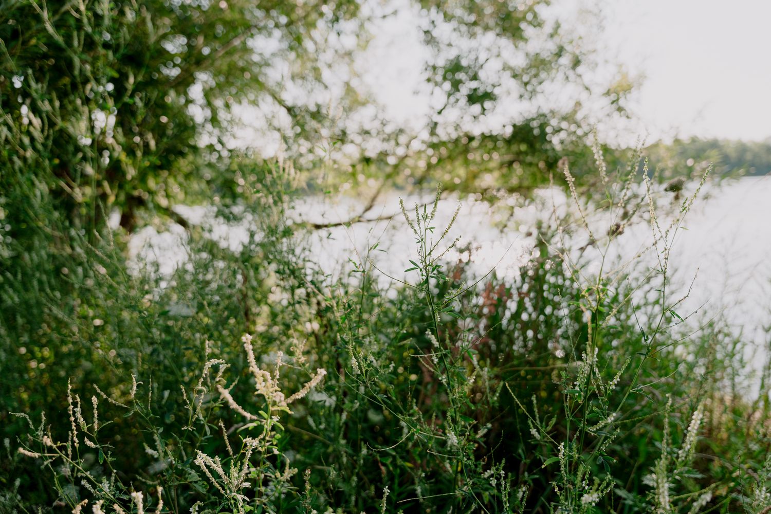 Séance photo sur les berges de Verdun, Montréal.
