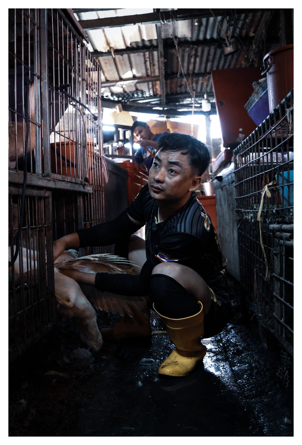 Metapixels Photography
Copyright Image 2024
Bangkok, Khlong Toi Market