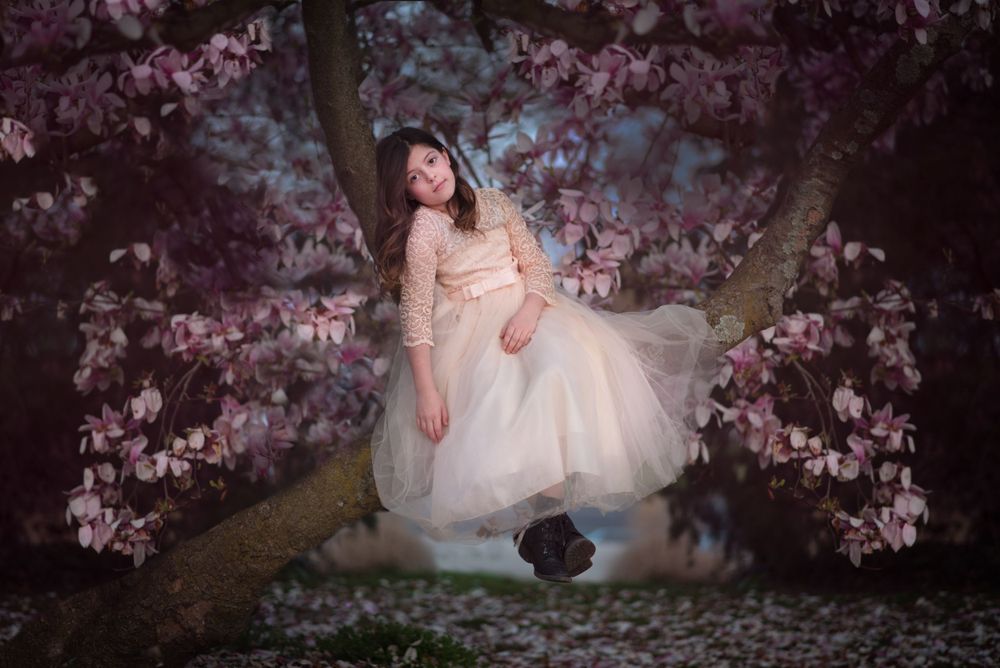 Person in ethereal pink dress poses among blooming cherry blossoms at twilight.Red Bank NJ
