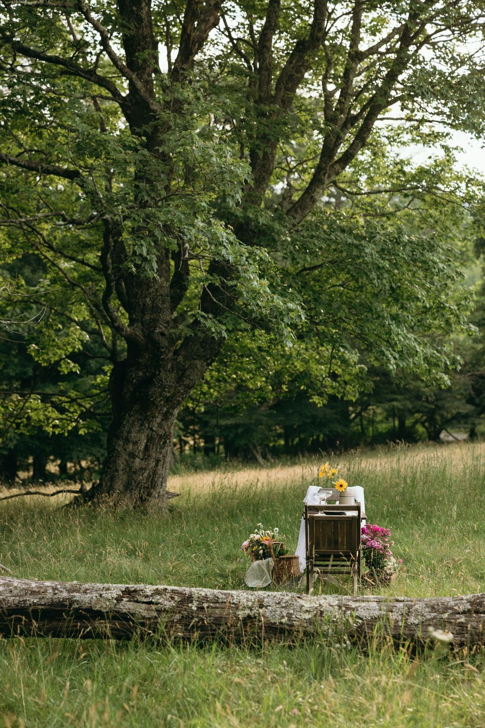 Stone wall with outdoor dining setup under large trees in a serene meadow setting. Editorial wedding photographer for historic venue
