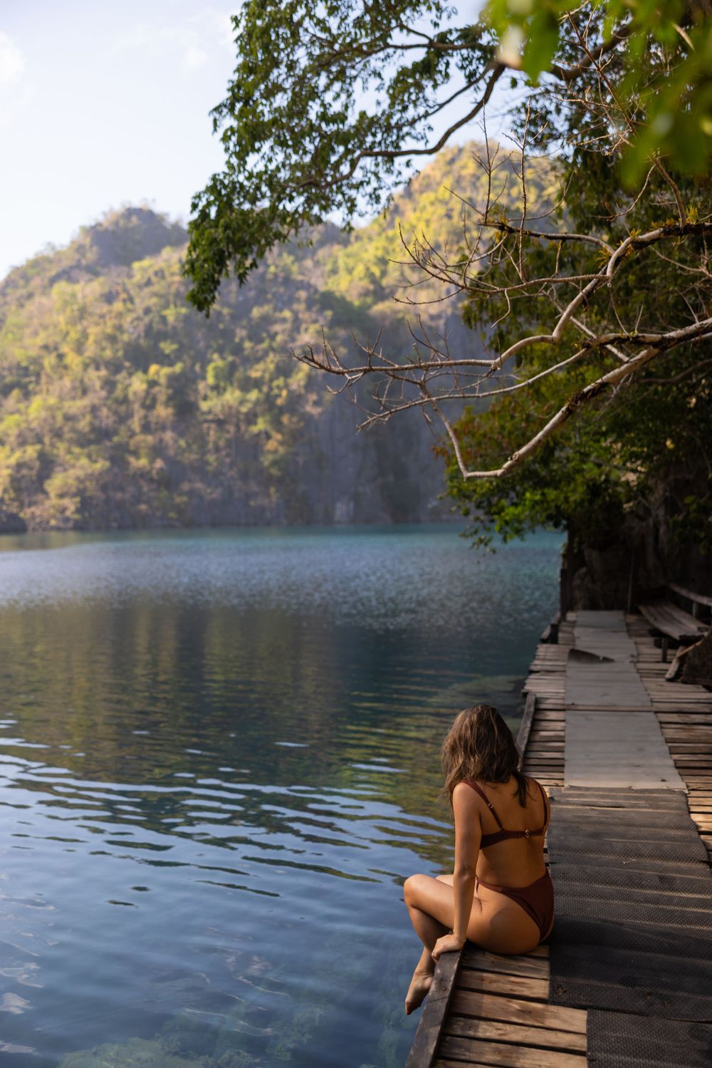 Wooden boardwalk extends over serene lake surrounded by lush forest.