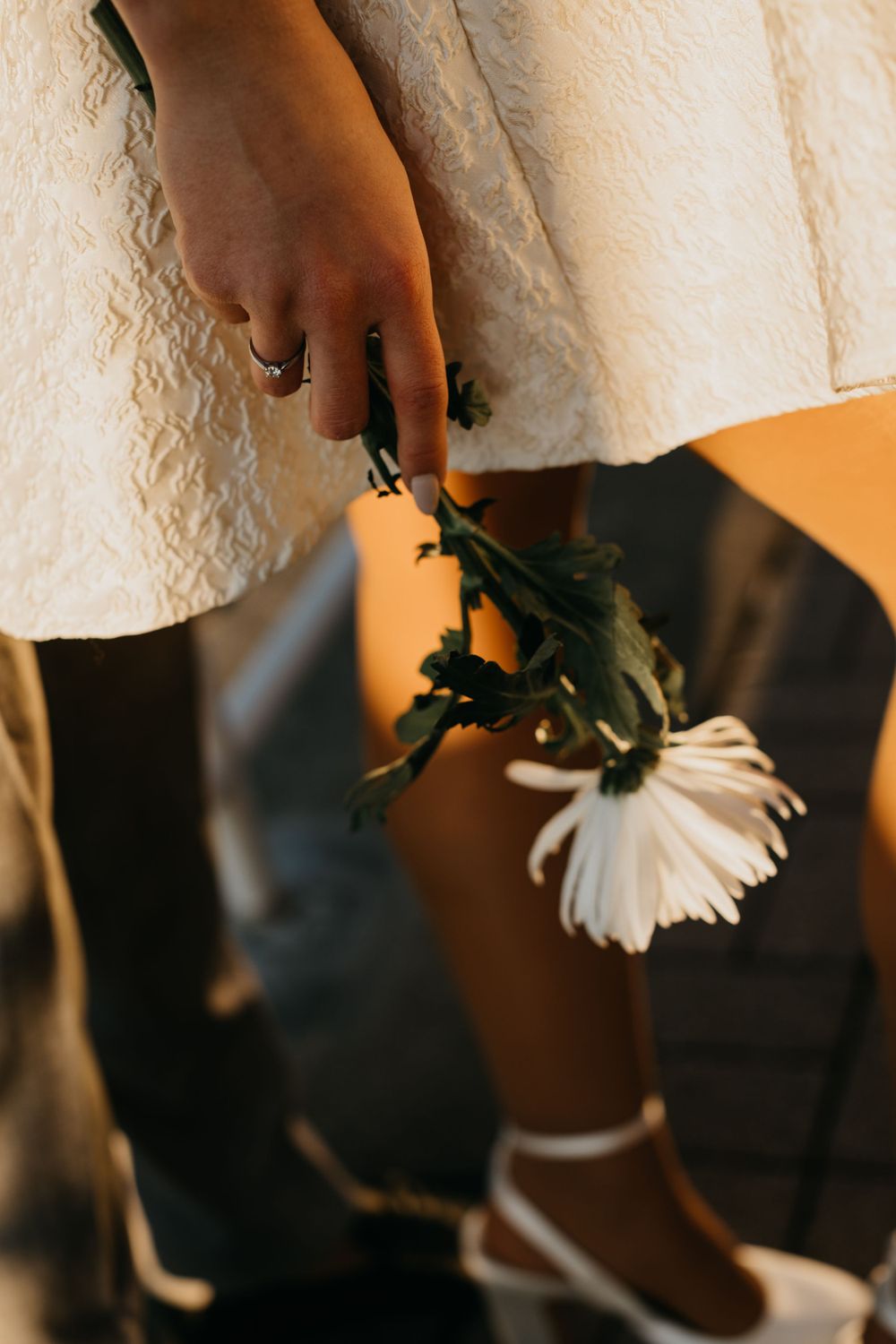 Close-up of a hand holding a white daisy flower against a white dress.
