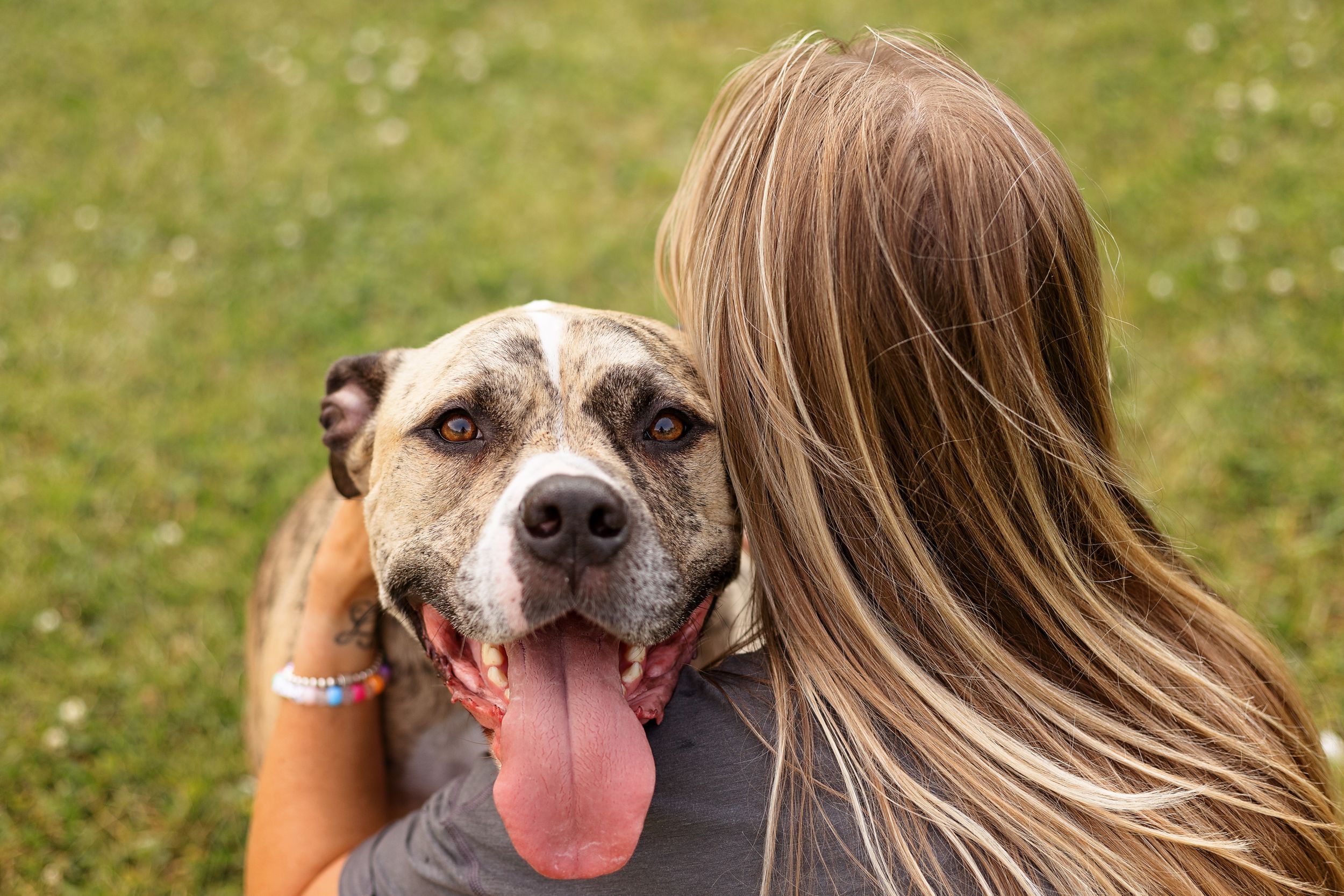 A woman has a tender moment with her pet dog during his end of life session.