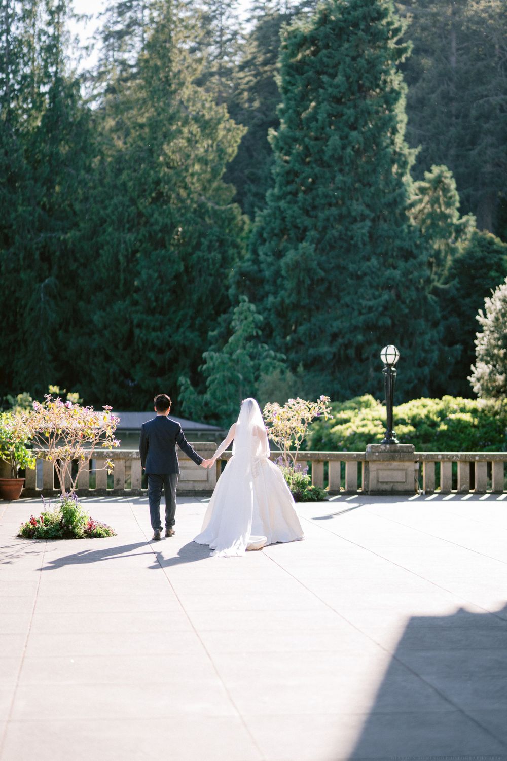 Couple walks along sunlit stone terrace with evergreen forest backdrop.