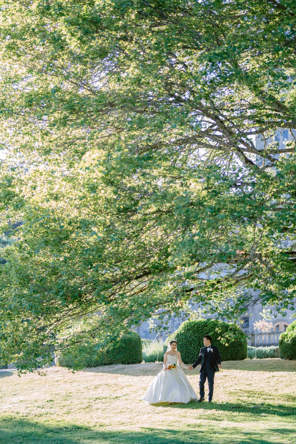 Wedding couple standing beneath a sweeping canopy of green leaves on a sunny lawn.