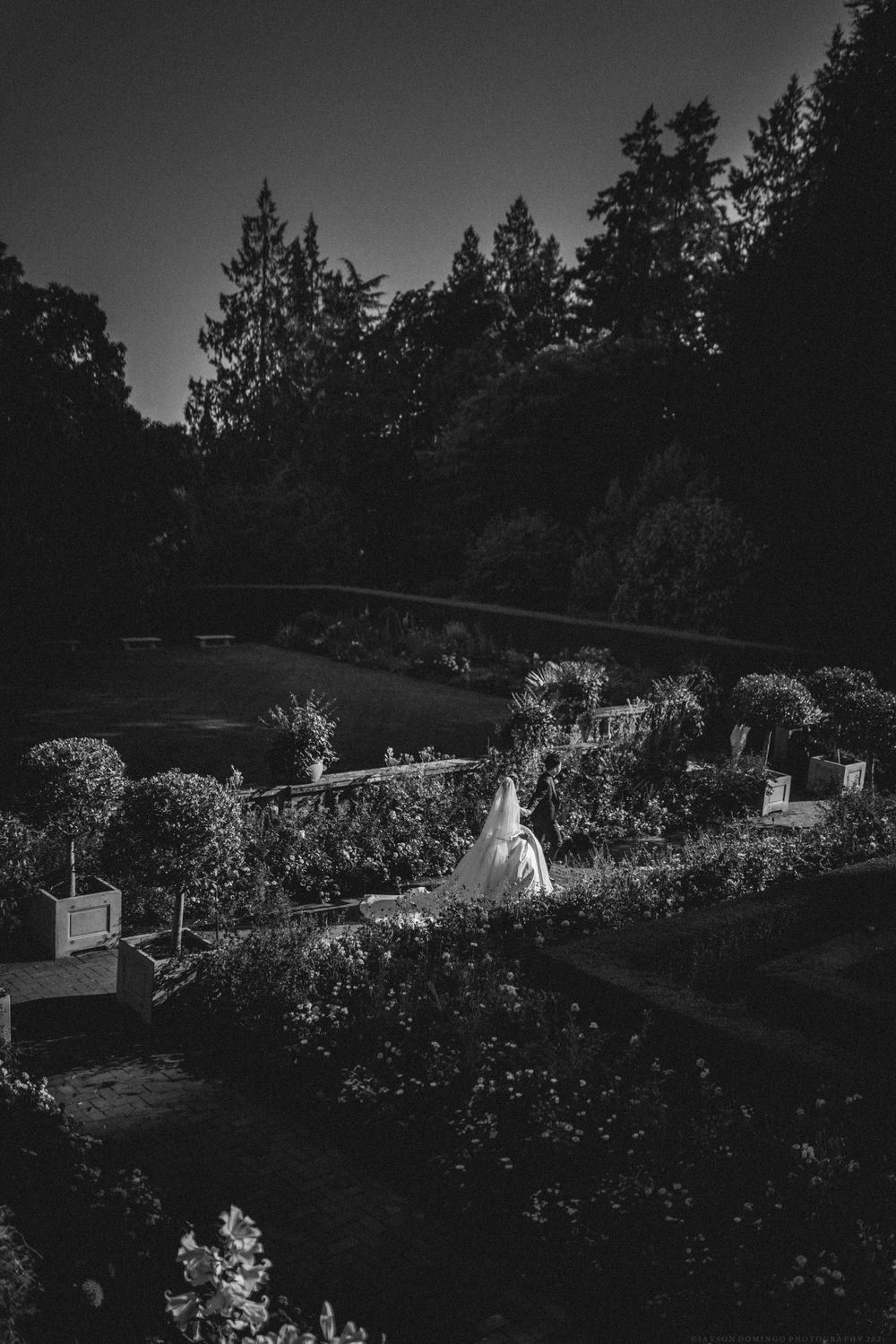A black and white photo of newlyweds in a manicured garden with pathways and plants.
