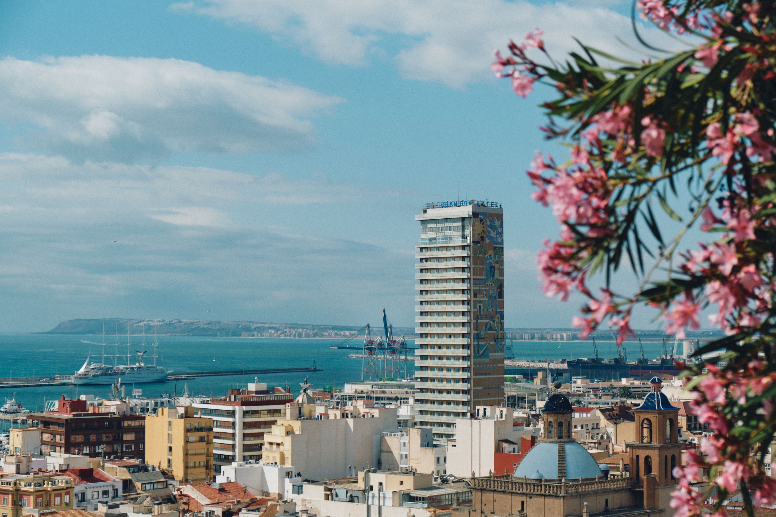 Coastal cityscape with modern high-rise building and pink flowers framing the Mediterranean Sea view.