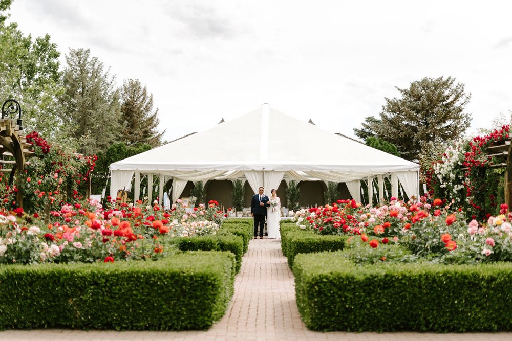 Wedding ceremony under white tent with rose garden and manicured hedges creating elegant walkway.