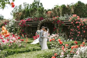 Wedding ceremony in a lush rose garden with red and pink blooms surrounding a wooden pergola.
